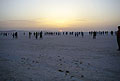 Восход солнца на солончаке Шотт Эль-Джерид